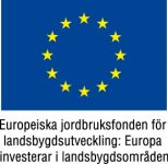 EU-flagga+Europeiska+jordbruksfonden+färg
