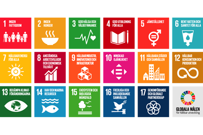 De 17 målen i agenda 2030